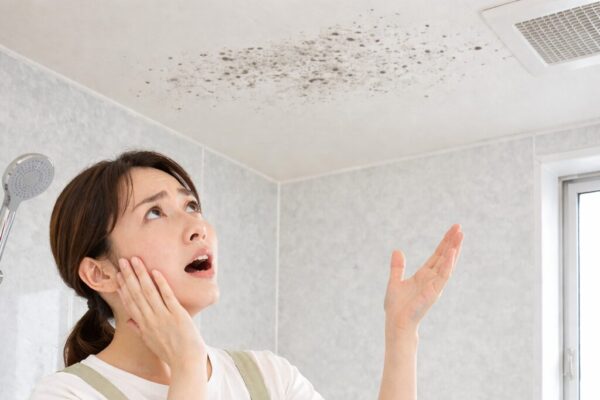 天井のカビはどう掃除する？安全で簡単に届くプロの裏技アイテム